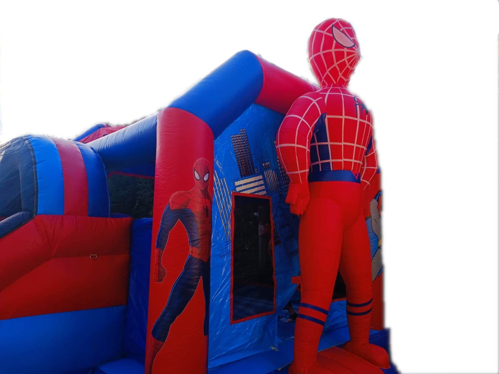 SPIDER MAN